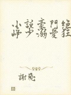 小说豪门绝宠之峥少溺爱狂妻