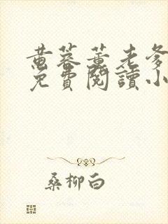 黄蓉董老爹全文免费阅读小说封面