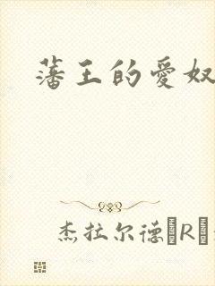 藩王的爱奴