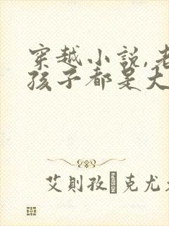穿越小说,老公孩子都是大反派封面
