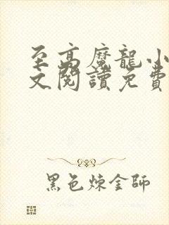 至高魔龙小说全文阅读免费无弹窗