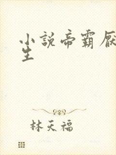 小说帝霸厌笔萧生