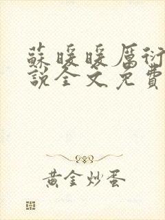 苏暖暖厉衍琛小说全文免费阅读