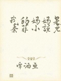 我的妈妈是女神秦菲小说免费阅读封面