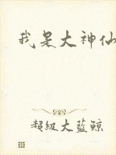 我是大神仙小说