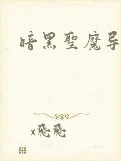 暗黑圣魔导