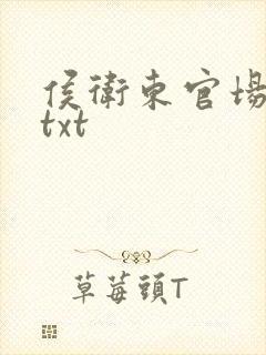 侯卫东官场笔记txt