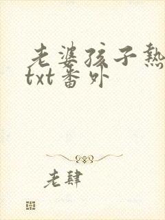 老婆孩子热炕头txt番外