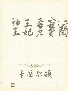神王毒宠:二嫁王妃免费阅读封面