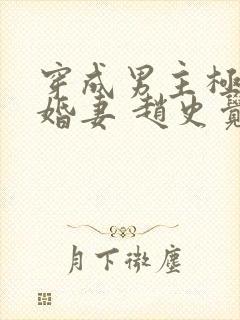 穿成男主极品未婚妻 赵史觉封面