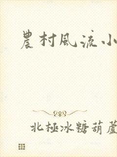 农村风流小说