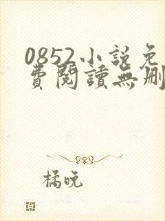 0852小说免费阅读无删减