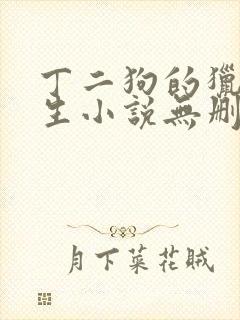 丁二狗的猎艳人生小说无删减小说