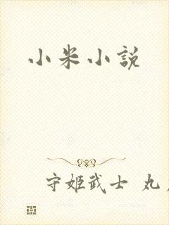 小米小说封面