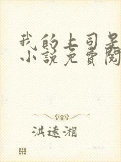 我的上司是女王小说免费阅读封面