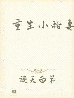 重生小甜妻封面