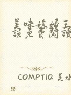 美味媳妇王芳小说免费阅读全文最新封面