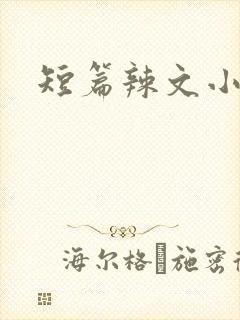 短篇辣文小说
