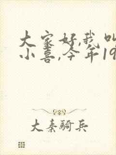 大家好,我叫林小喜,今年19岁小说