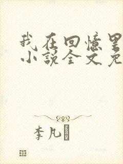 我在回忆里等你小说全文免费阅读封面