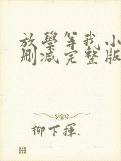 放学等我小说未删减完整版
