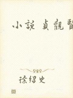 小说 贞观贤王封面