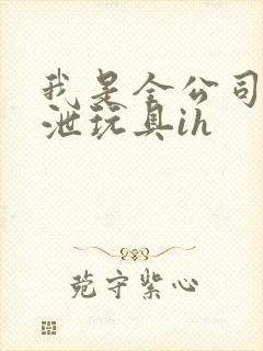我是全公司的发泄玩具ih封面