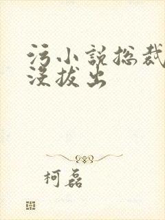 污小说总裁整夜没拔出封面