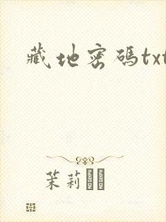 藏地密码txt