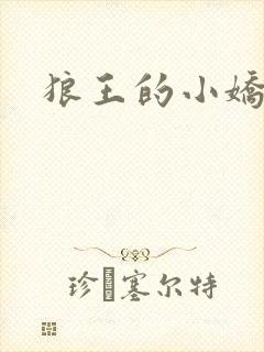 狼王的小娇妻封面