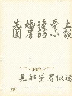 先婚后爱上来就圆房的小说封面