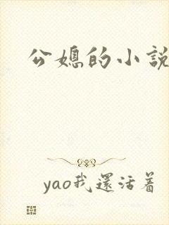公媳的小说