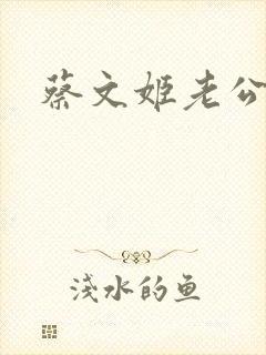蔡文姬老公封面