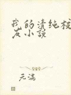 我的清纯校花女友小说