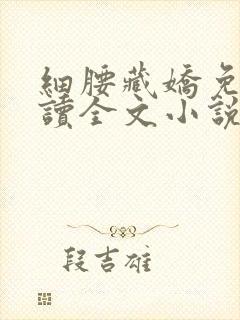 细腰藏娇免费阅读全文小说苏珞浅封面