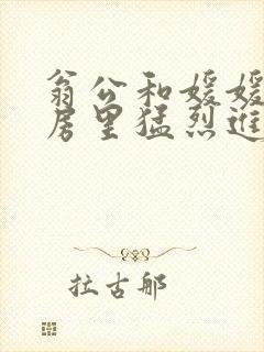 翁公和媛媛在厨房里猛烈进出
