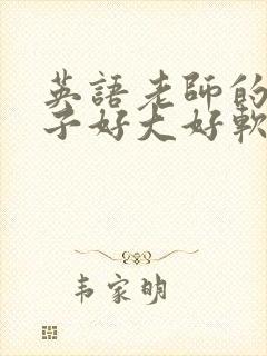 英语老师的小兔子好大好软水