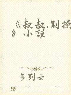 《叔叔,别撩我》小说