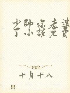少帅你老婆又跑了小说免费听书封面