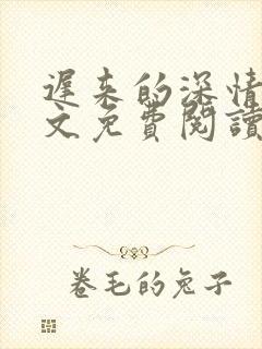 迟来的深情叶全文免费阅读封面