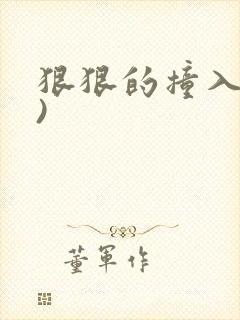 狠狠的撞入(h)