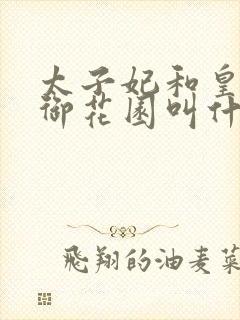 太子妃和皇帝在御花园叫什么小说