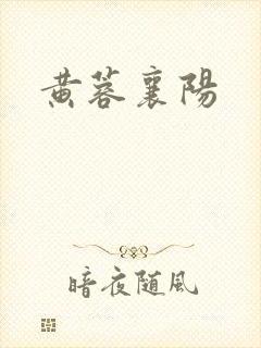 黄蓉襄阳