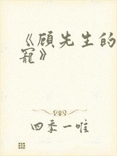 《顾先生的掌心宠》