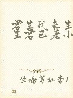 君生我未生,我生君已老小说