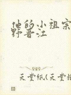 他的小祖宗甜又野晋江封面