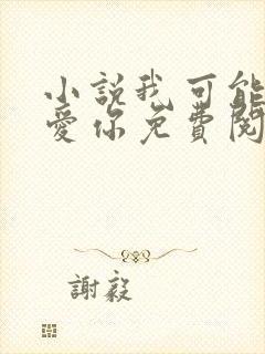 小说我可能不会爱你免费阅读