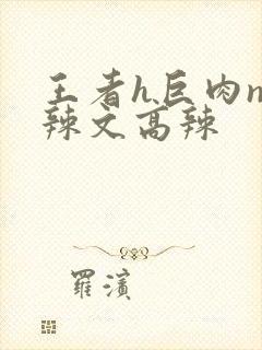 王者h巨肉np辣文高辣