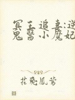 冥王追妻:逆天鬼医小魔妃封面