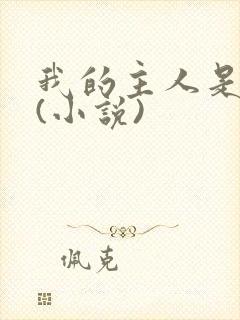 我的主人是妹妹(小说)